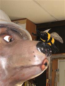 Bumblebee-on-nose: 